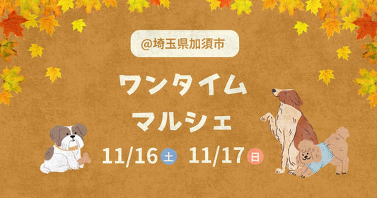 【2024年11月】ワンタイムマルシェにジュレッタ出店のお知らせ@埼玉県加須市