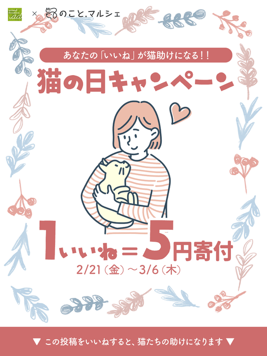 【こちらのキャンペーンは終了しました】【1いいね=5円寄付】2025猫の日キャンペーンを実施中