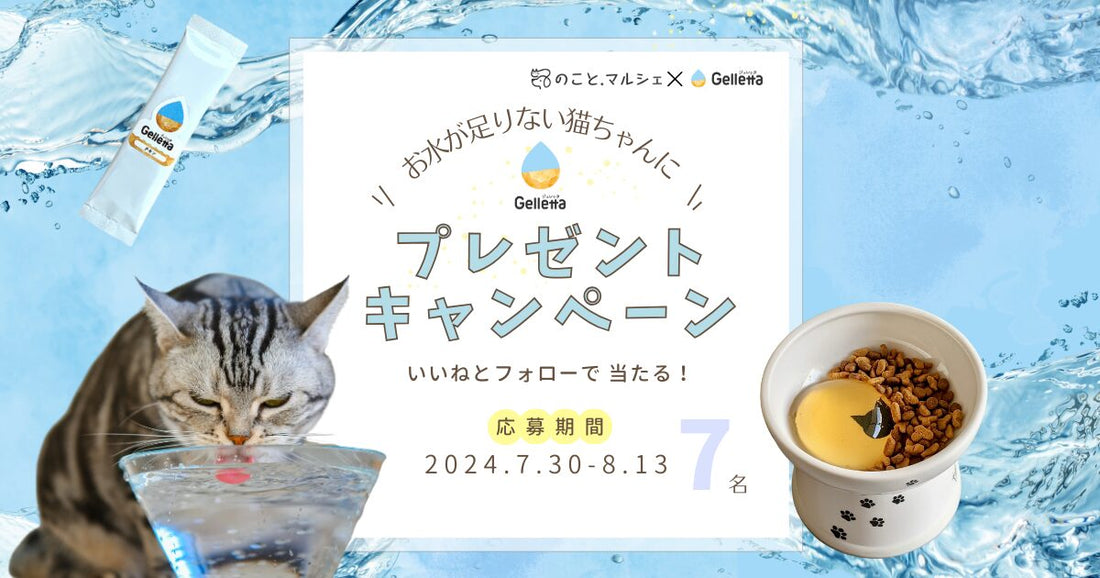 【終了しました】姉妹メディアねこのこと。7周年記念 | ジュレッタを7名様にプレゼントキャンペーンのお知らせ