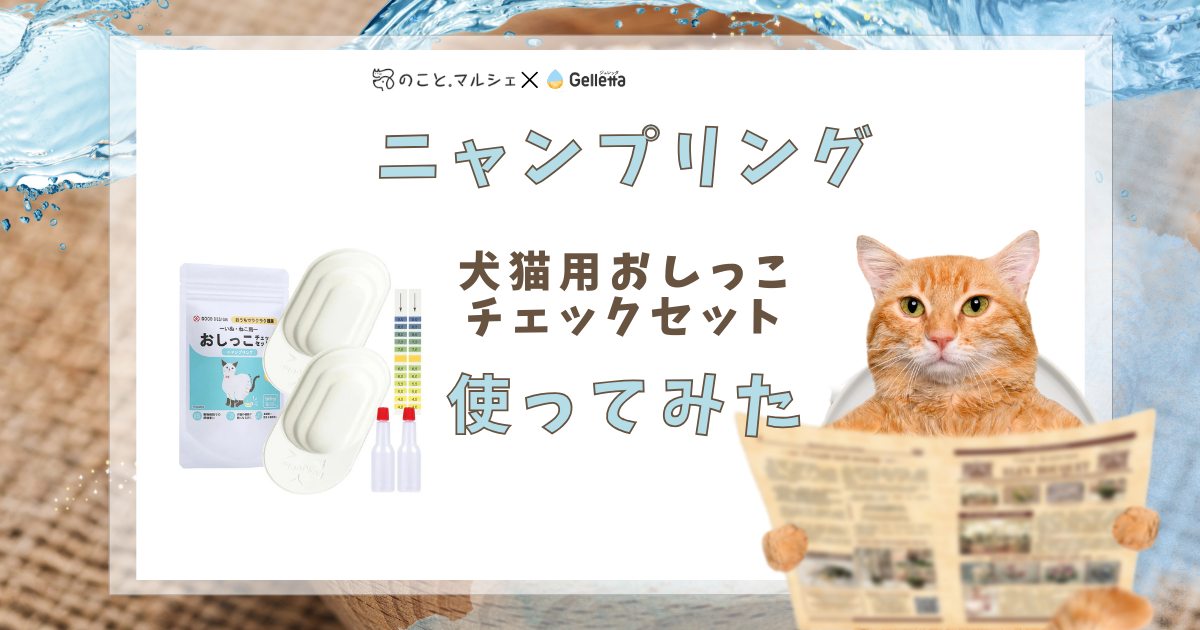 愛犬愛猫の尿検査対策・オシッコチェックのために】ニャンプリングを