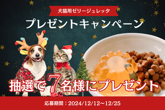 【本キャンペーンは終了しました】どうぶつのこと。7周年記念!「食べるお水」ジュレッタを7名様にプレゼントキャンペーン