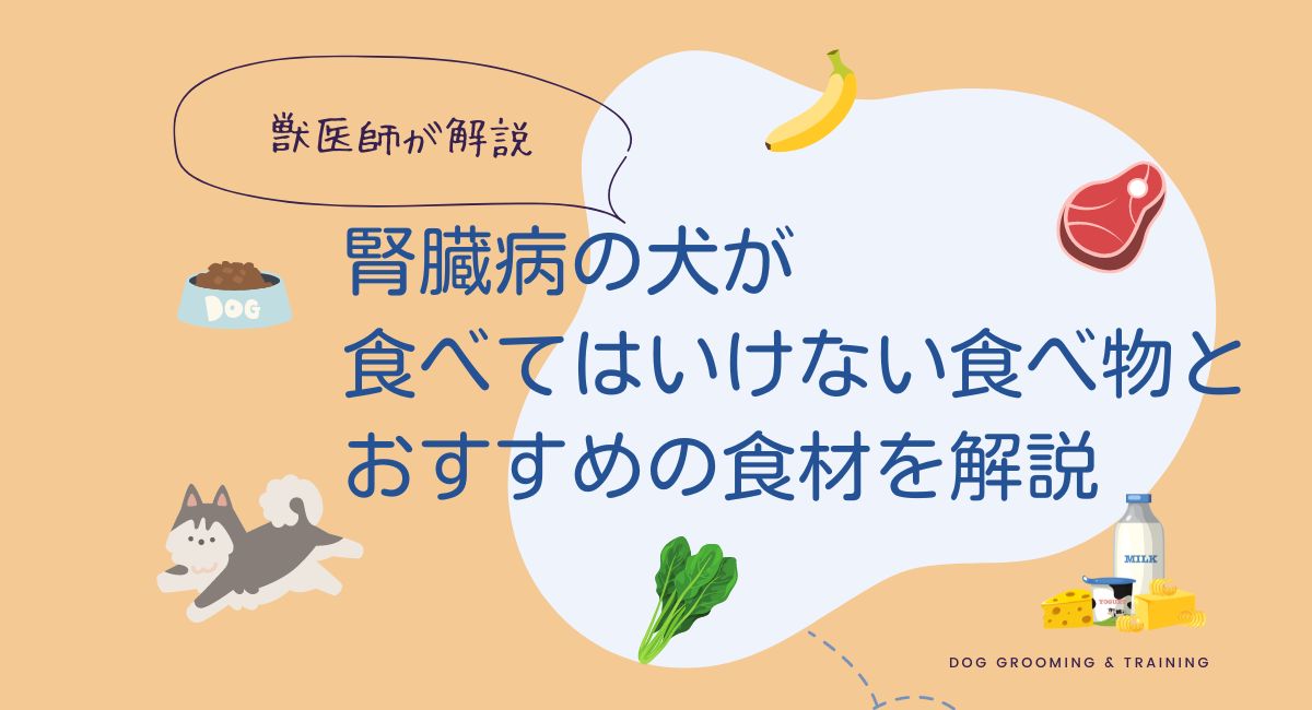 獣医師監修】腎臓病の犬が食べてはいけないもの一覧｜注意したい食材と