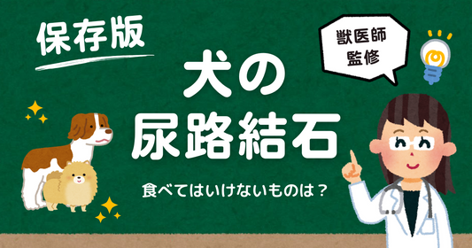 【獣医師監修・保存版】犬の尿路結石|食べてはいけないものと正しい食事法