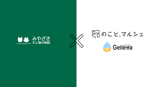 のこと。マルシェで取り扱うGelletta®(ジュレッタ)の提携動物病院に、みやざき犬と猫の病院が加わりました