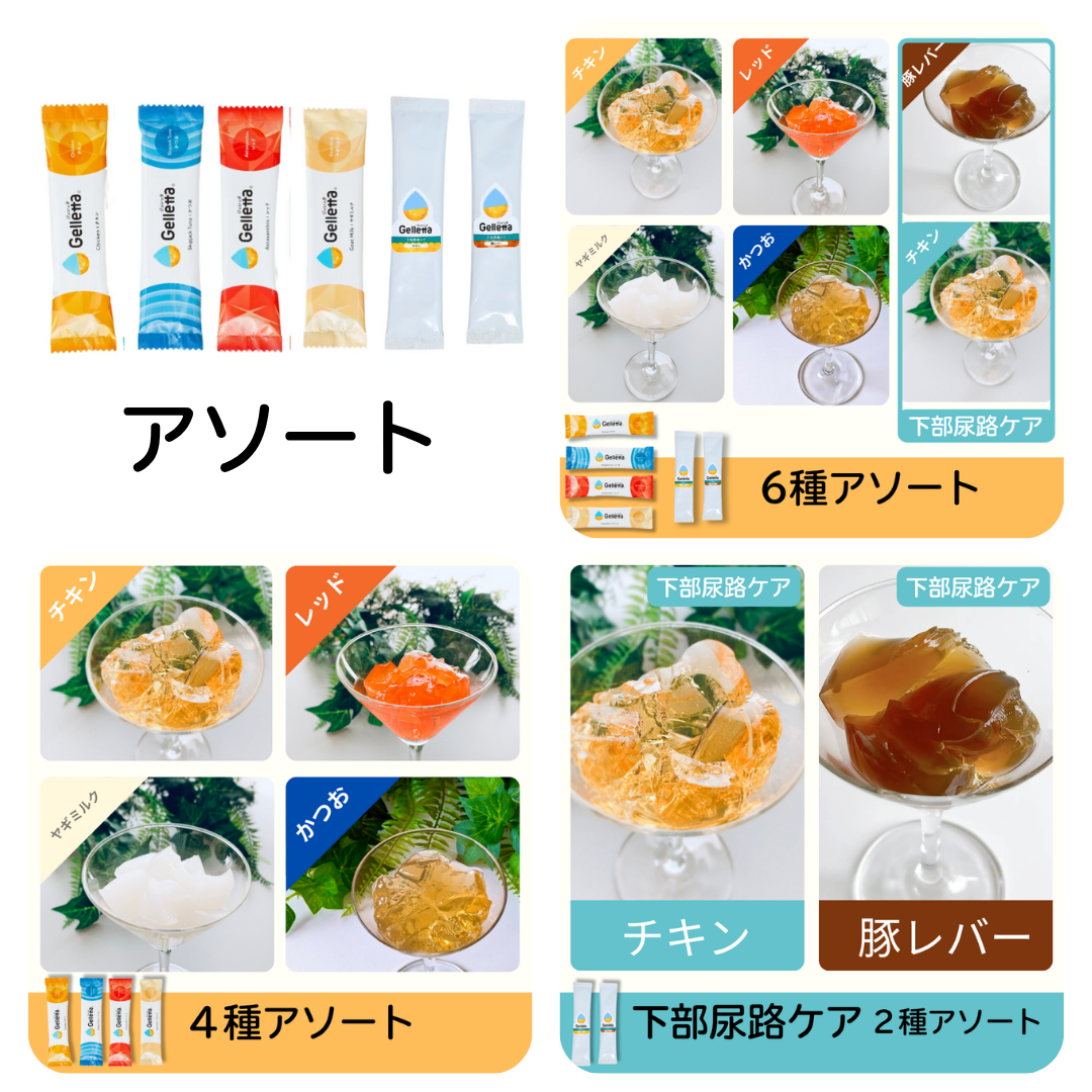 ジュレッタ アソート | のこと。マルシェ ～犬猫の水分補給用ゼリー