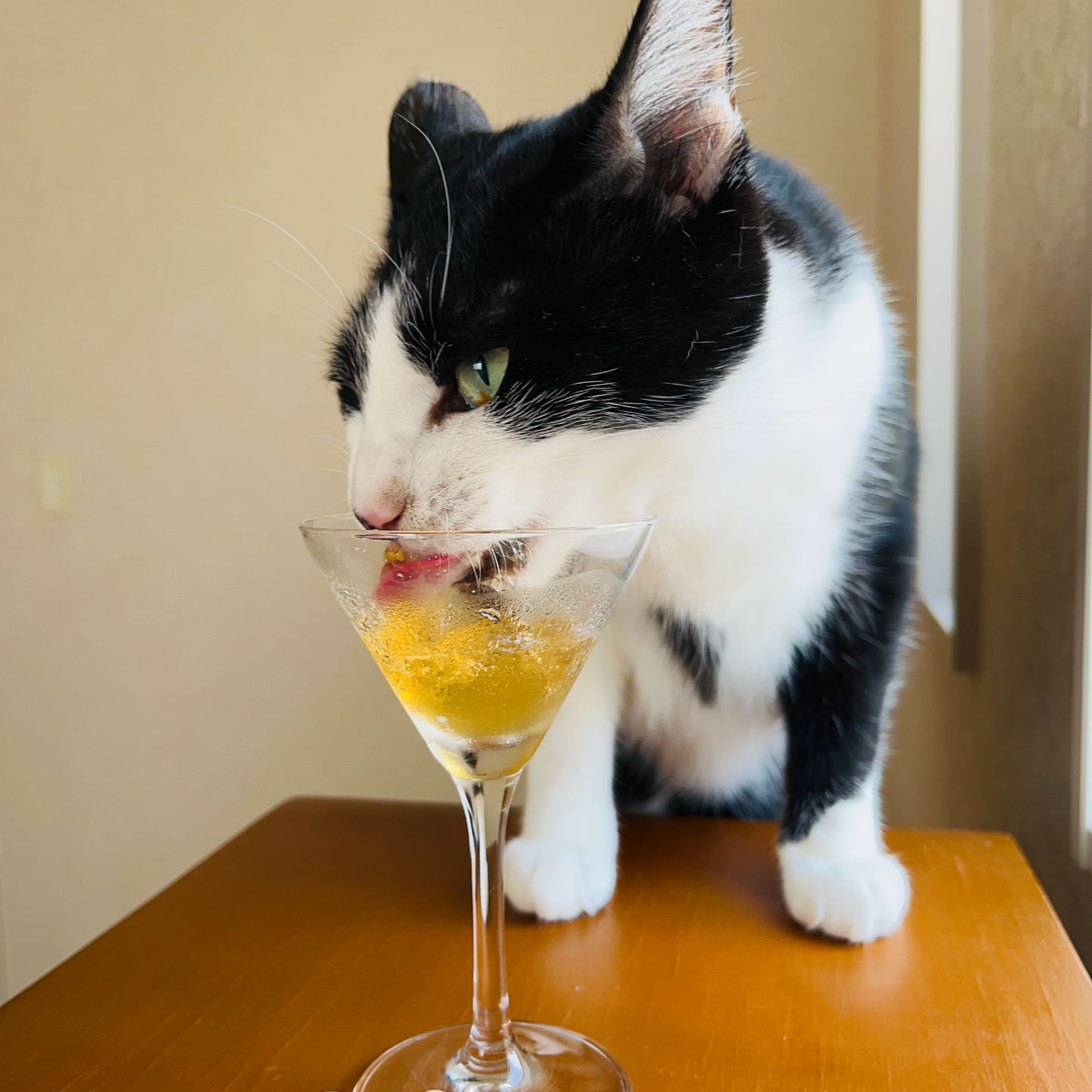 ジュレッタ 下部尿路ケア・豚レバー味(犬猫用)