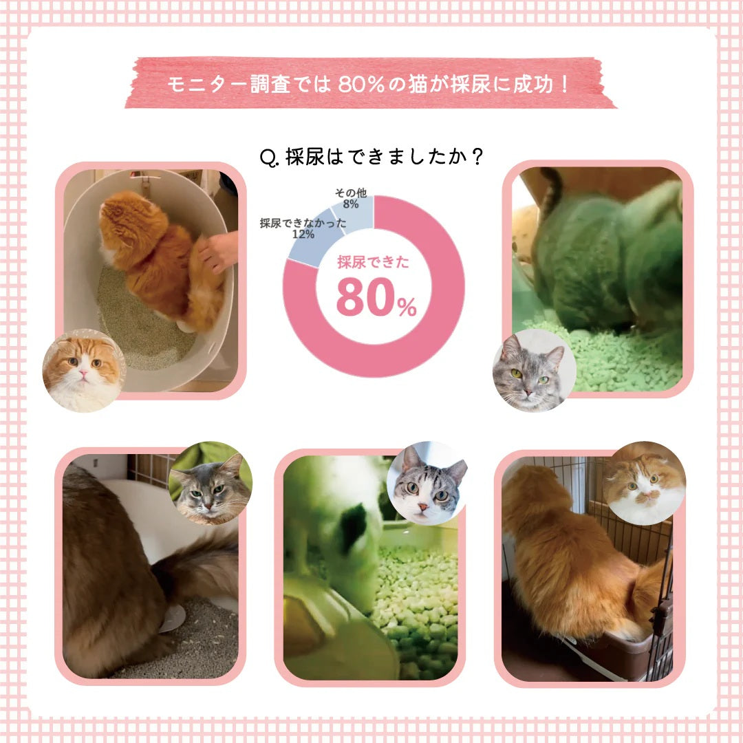 【尿提出用スポイト・pH試験紙付き】犬猫用おしっこチェックセット nyanpling®