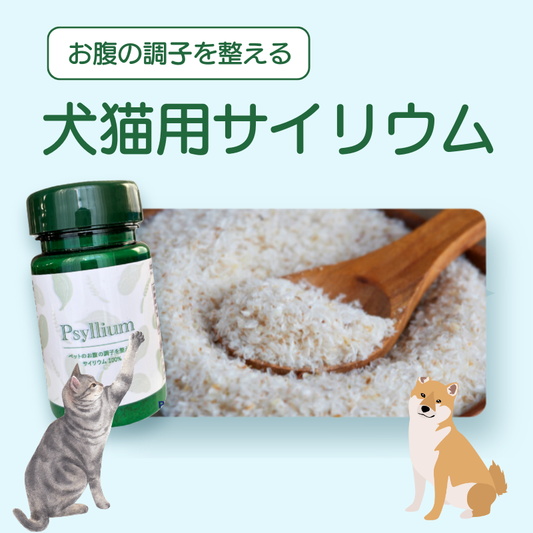 サイリウム (オオバコ)犬猫用~便秘・下痢のお悩みにおすすめ~
