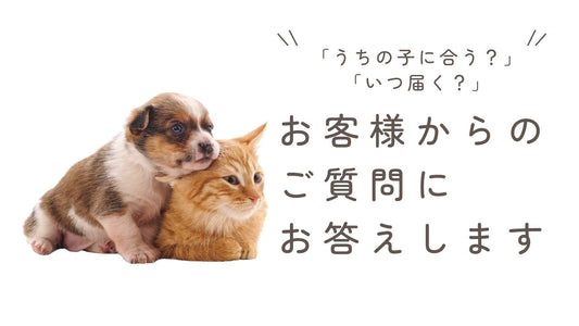 「うちの子に合う？」「いつ届く？」など、お客様からいただいたご質問にお答えします