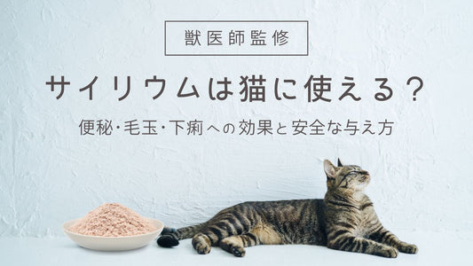 【獣医師解説】サイリウム（オオバコ）は猫に使える？便秘・毛玉・下痢への効果と安全な与え方