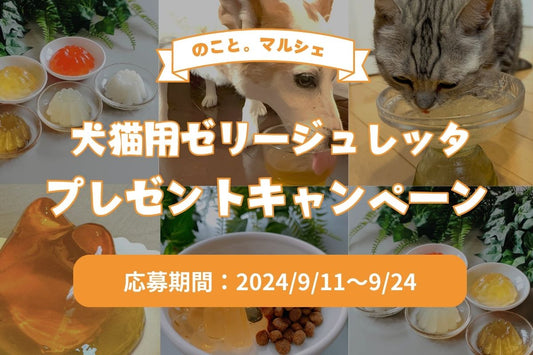 【終了しました】姉妹メディアいぬのこと。７周年記念 | ジュレッタを７名様にプレゼントキャンペーンのお知らせ