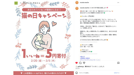 【2026年】猫の日キャンペーンの寄付完了のご報告