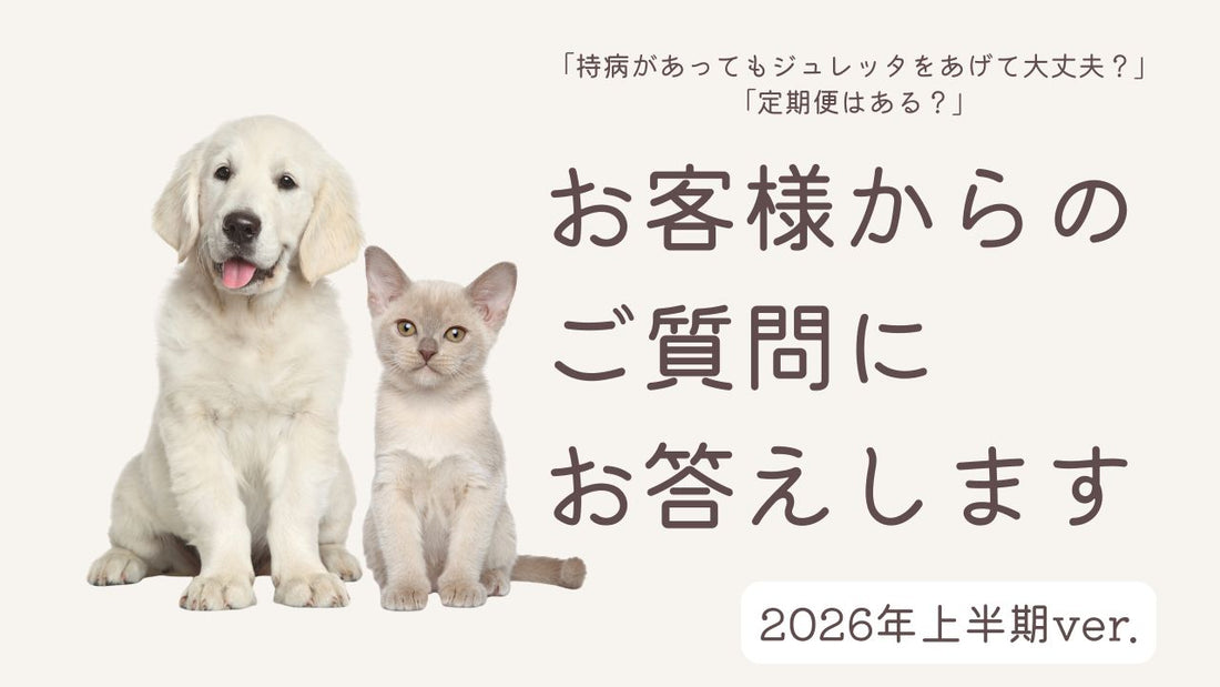 「持病があってもジュレッタをあげて大丈夫？」「定期便はある？」など、2026年上半期にいただいたご質問にお答えします