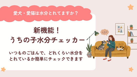 【新機能】うちの子の水分チェッカーのご紹介🐶😸｜いつものごはんで水分とれてますか？