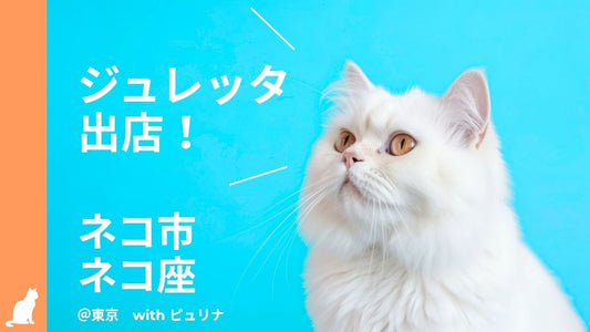 【2026年7月】ネコ市ネコ座＠東京 with ピュリナにジュレッタ出店のお知らせ