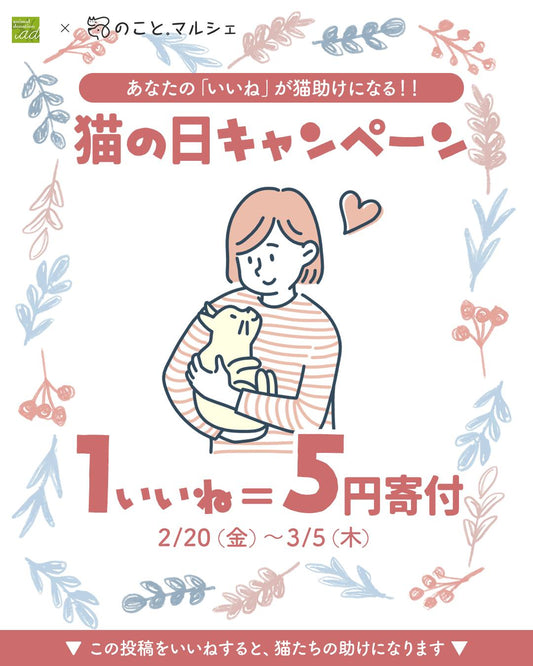 【こちらのキャンペーンは終了しました】【1いいね＝5円寄付】2026猫の日キャンペーンを実施中