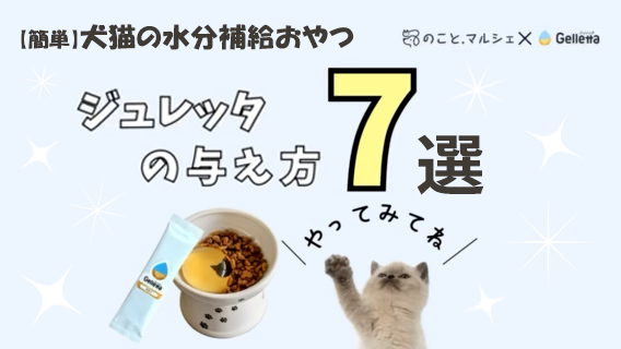 【動画で解説】「【簡単】犬猫の水分補給おやつ「ジュレッタ」の与え方7選」を公開