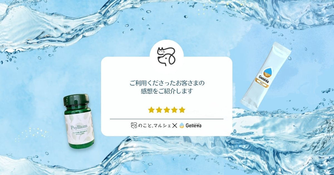 ジュレッタをお試ししてくれたワンコの声