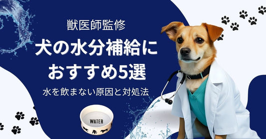 【獣医師監修】犬の水分補給におすすめ5選｜水を飲まない原因と対処法も解説