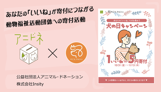 【1いいね＝5円寄付】2025犬の日キャンペーンを実施中！