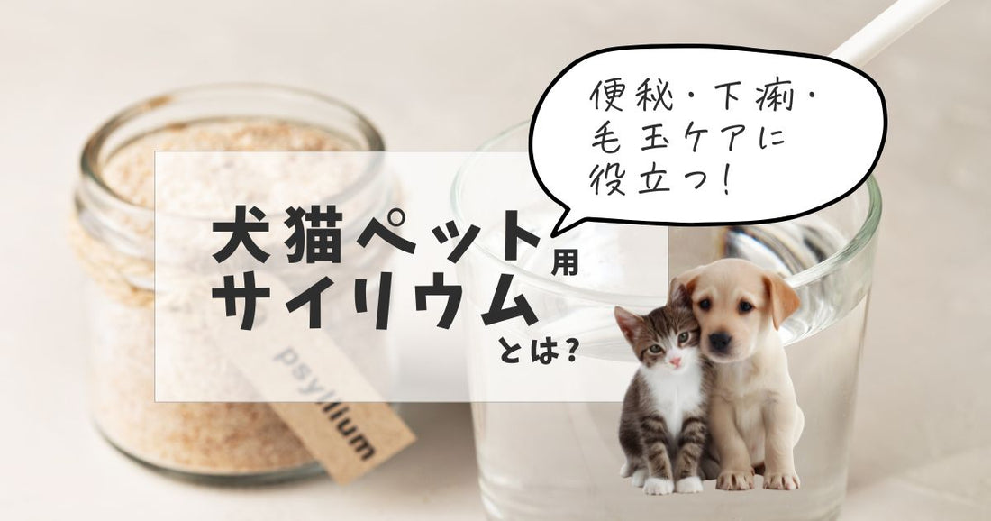犬猫ペット用サイリウムとは？便秘・下痢・毛玉ケアに役立つ食物繊維サプリ