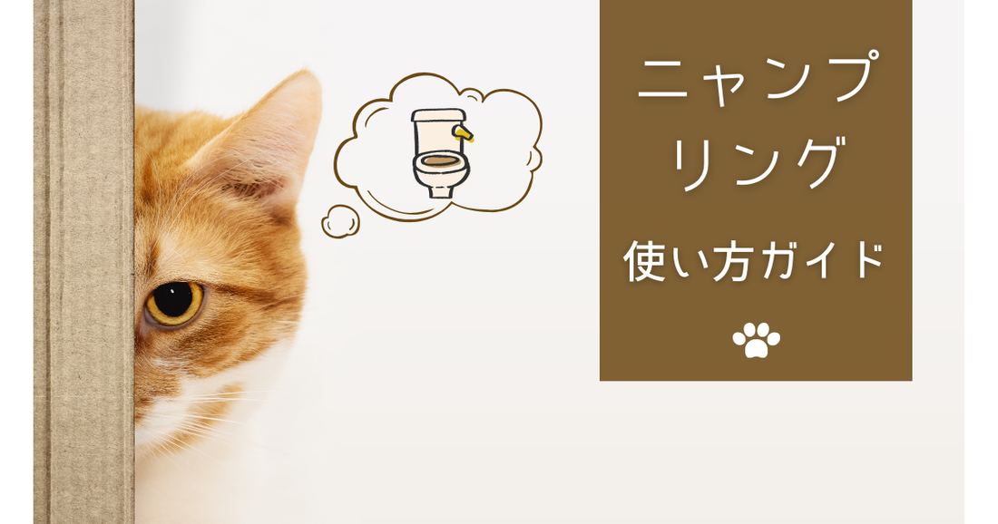 猫の尿を自宅で採取する方法｜ニャンプリングの使い方とコツ