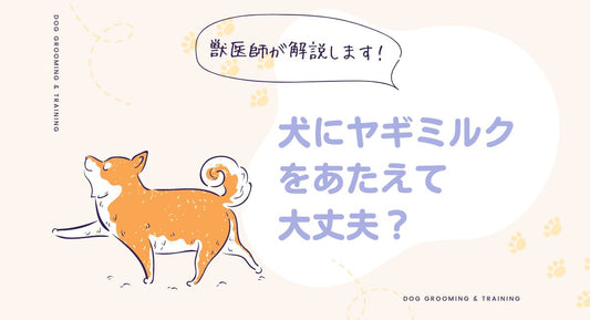 犬にヤギミルクをあたえても大丈夫？