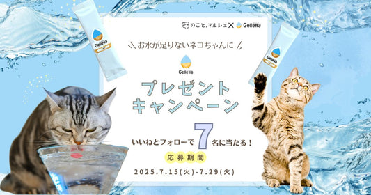 ねこのこと。8周年記念！「食べるお水」ジュレッタを７名様にプレゼントキャンペーン