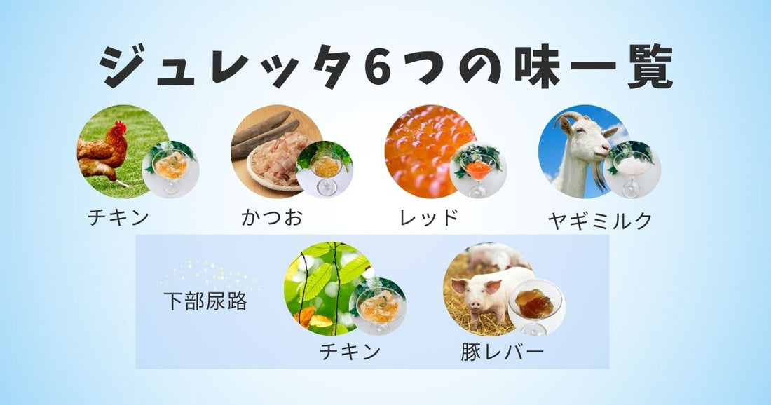 愛犬愛猫の水分補給におすすめ！ジュレッタ全6フレーバー徹底解説