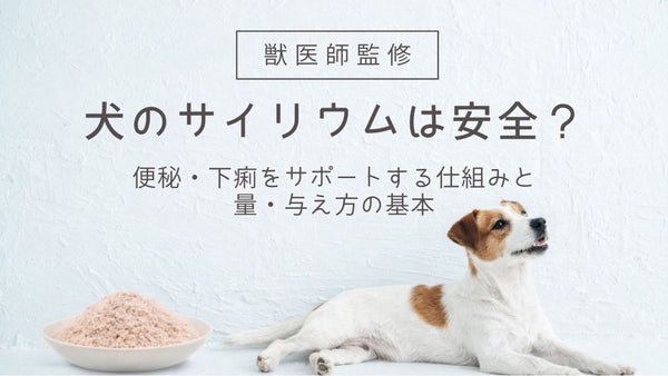 【獣医師解説】犬のサイリウムは安全？便秘・下痢をサポートする仕組みと量・与え方の基本
