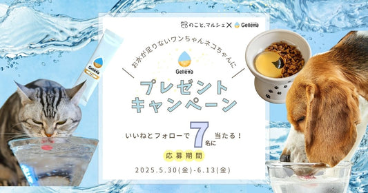 のこと。マルシェ1周年記念！「食べるお水」ジュレッタを７名様にプレゼントキャンペーン