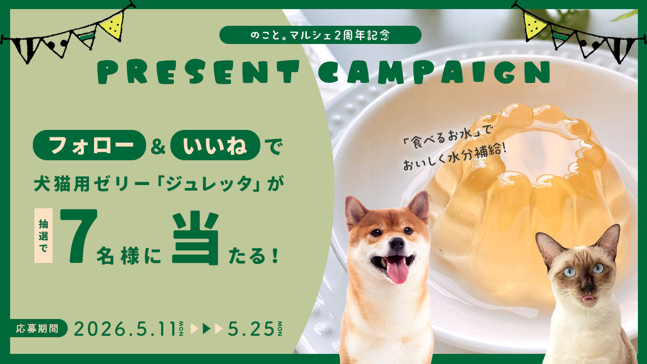 公式】いぬのこと。マルシェ | 犬用ゼリー・おやつ・フードで毎日を