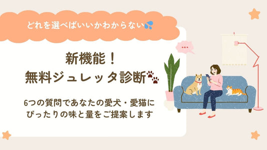 【新機能】ジュレッタ診断スタート＆インスタグラムのご紹介