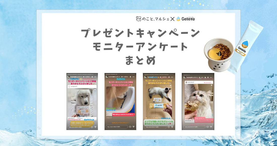 🐾 わんだにゃー様×ジュレッタ コラボキャンペーンご報告