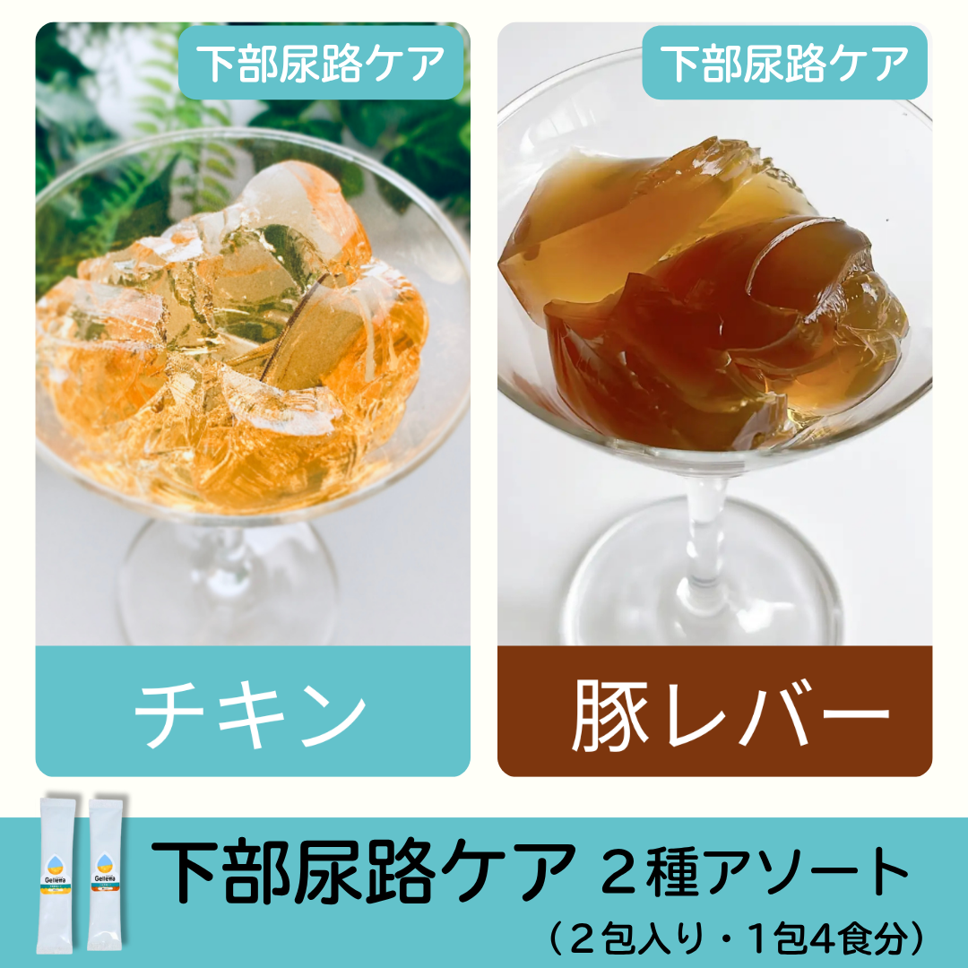 ジュレッタ アソート【初めての方はこちらがおすすめ】