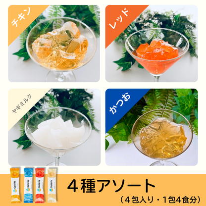 ジュレッタ アソート【初めての方はこちらがおすすめ】