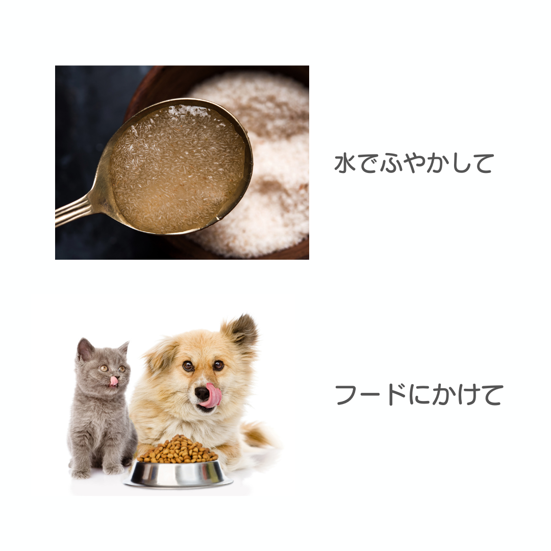 サイリウム （犬猫用）