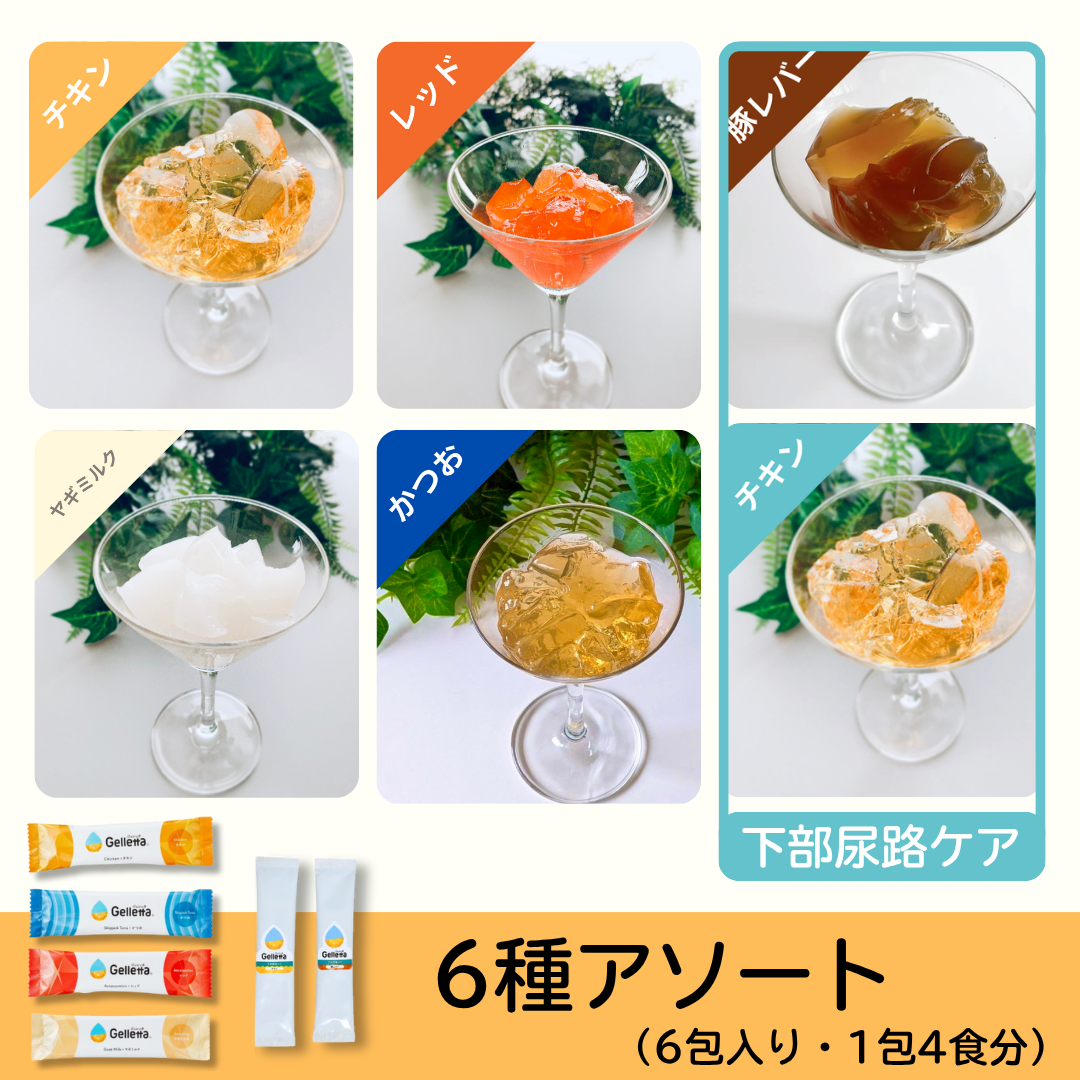 ジュレッタ アソート【初めての方はこちらがおすすめ】
