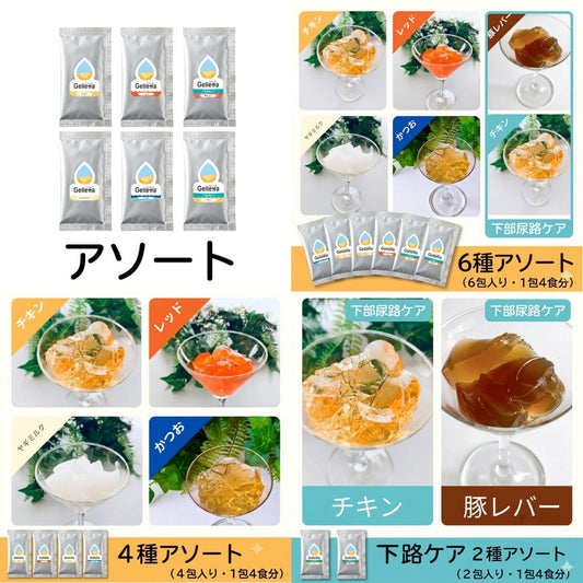 ジュレッタ アソート【初めての方はこちらがおすすめ】