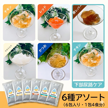 ジュレッタ アソート【初めての方はこちらがおすすめ】
