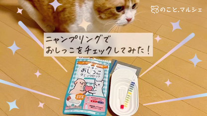 【尿提出用スポイト・ｐH試験紙付き】犬猫用おしっこチェックセット nyanpling®
